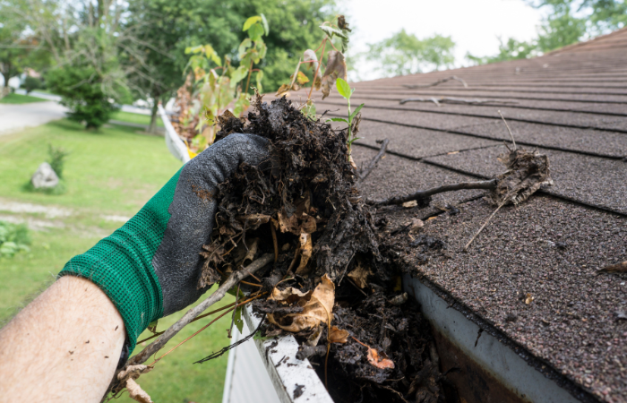 gutter cleaning canberra