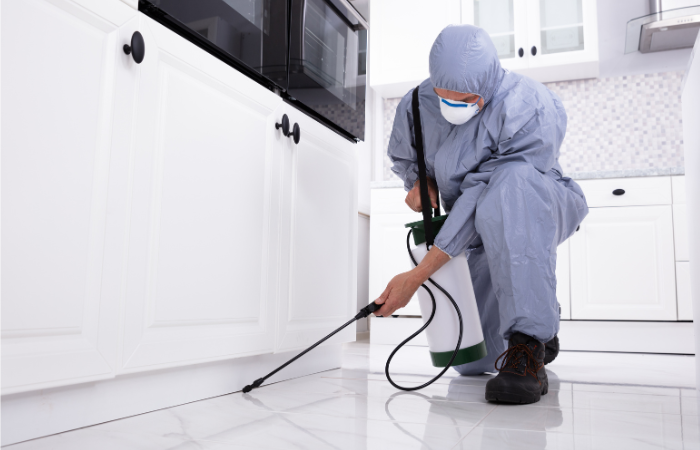 pest control canberra