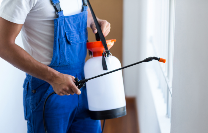 pest control melbourne