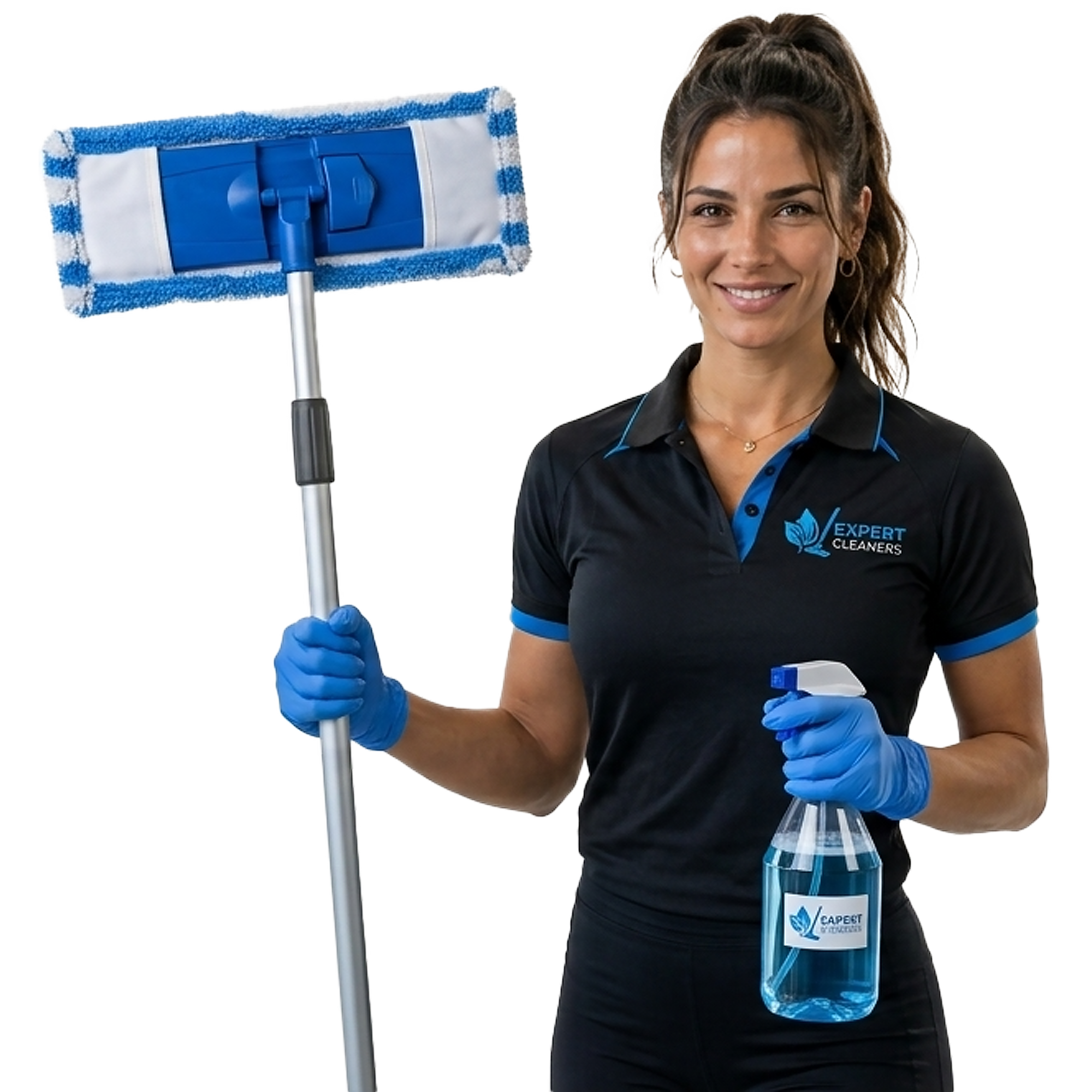 Professional Cleaner