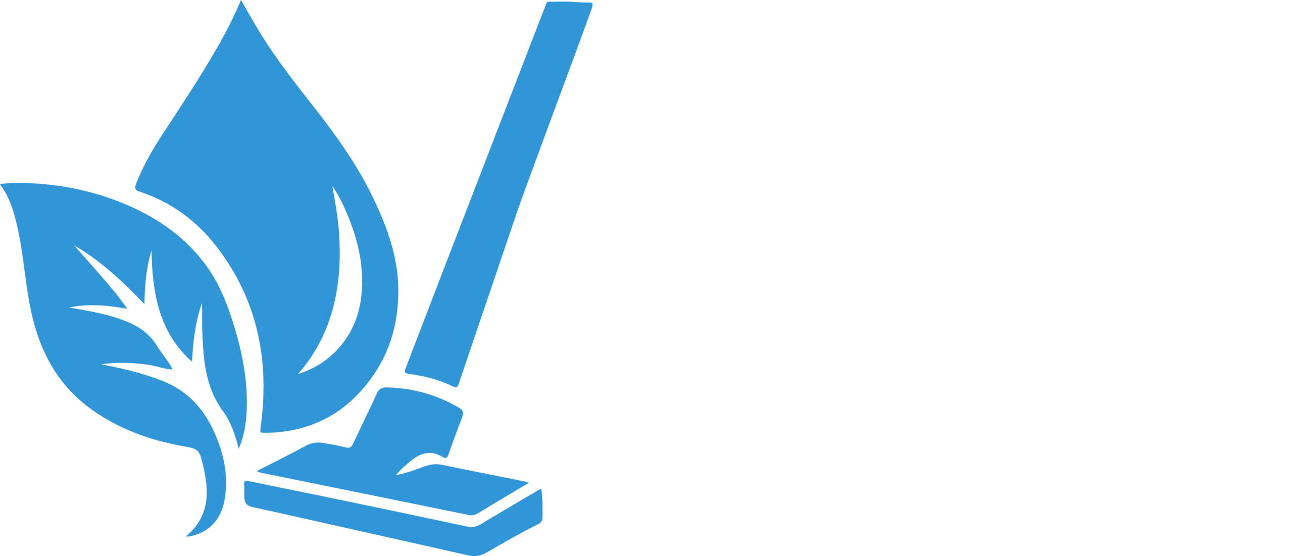 Expert Cleaners