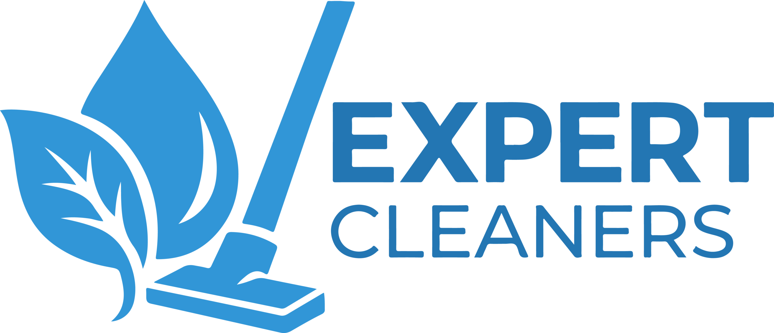 Expert Cleaners
